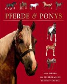 Pferde und Pony