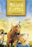 Ein Cowboy für Bille und Zottel. Ein Filmstar mit vier Beinen. Im Sattel durch den Sommer / Bille & Zottel Sammelbd.3