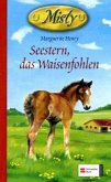 Seestern, das Waisenfohlen / Misty Bd.2