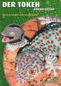 Der Tokeh - Großmann, Wolfgang