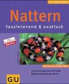 Nattern faszinierend & exotisch