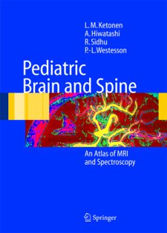 Pediatric Brain and Spine - Ketonen, L.M.;Hiwatashi, A.;Sidhu, R.