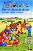 Ponyhofgeschichten; Zwei Ponys machen doppelt Spaß