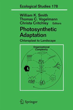 Photosynthetic Adaptation - Smith, William K. / Vogelmann, Thomas C. / Critchley, Christa (eds.)