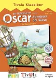 Oscar der Ballonfahrer und die Abenteuer der Wiese, 1 CD-ROM
