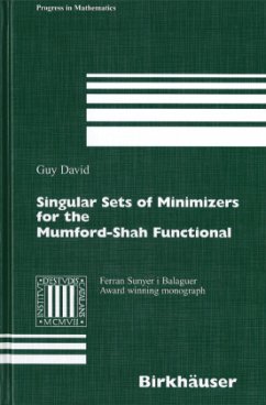 Singular Sets of Minimizers for the Mumford-Shah Functional - David, Guy