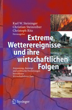 Extreme Wetterereignisse und ihre wirtschaftlichen Folgen - Steininger, Karl W. / Steinreiber, Christian / Ritz, Christoph (Hgg.)