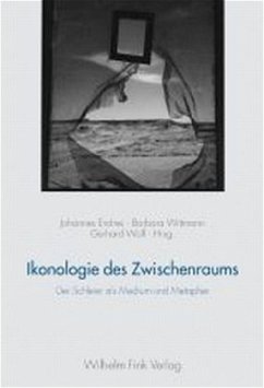 Ikonologie des Zwischenraums - Endres, Johannes / Wittmann, Barbara / Wofl, Gerhard (Hgg.)