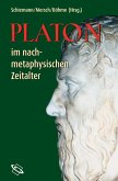 Platon im nachmetaphysischen Zeitalter