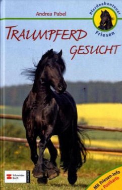 Traumpferd gesucht - Pabel, Andrea