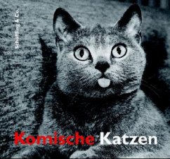 Cover Komische Katzen