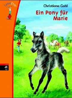 Ein Pony für Marie - Gohl, Christiane