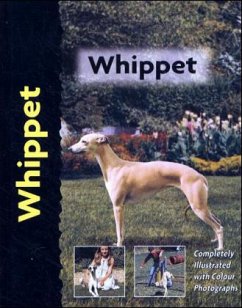 Whippet - Cunliffe, Juliette