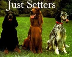 Just Setters - Smith, Steven