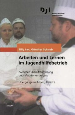 Arbeiten und Lernen im Jugendhilfebetrieb - Lex, Tilly; Schaub, Günther