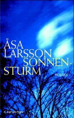 Sonnensturm / Rebecka Martinsson Bd.1 - Larsson, Asa