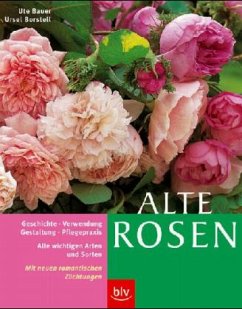 Alte Rosen - Bauer, Ute; Borstell, Ursel