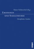 Emotionen und Sozialtheorie