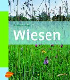 Wiesen