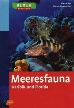 Meeresfauna Karibik und Florida - Baumeister, Werner