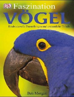 Cover Faszination Vögel