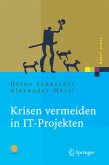 Krisen vermeiden in IT Projekten, m. CD-ROM