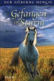 Gefangen im Sturm