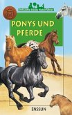 Ponys und Pferde