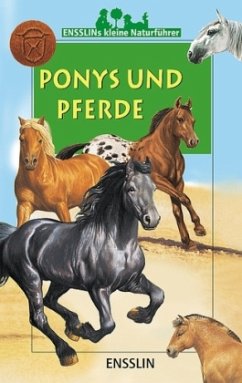 Ponys und Pferde - Delaborde, Gilles