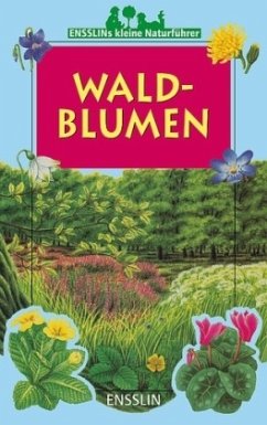 Waldblumen - Rennert, Violette