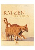 Katzen des Südens