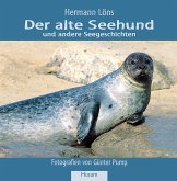 Der alte Seehund und andere Seegeschichten