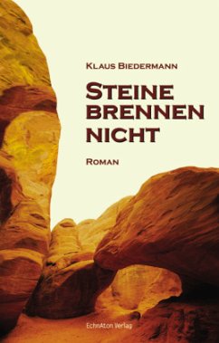 Steine brennen nicht - Biedermann, Klaus D.