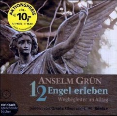 Cover 12 Engel erleben, 1 Audio-CD