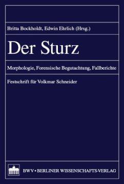 Der Sturz Cover Der Sturz