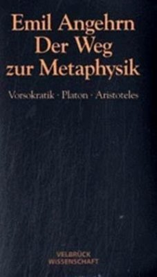 Der Weg zur Metaphysik - Studienausgabe - Angehrn, Emil