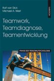 Teamwork, Teamdiagnose, Teamentwicklung