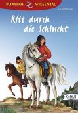 Ritt durch die Schlucht / Ponyhof Wiesental Bd.13