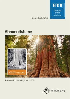 Mammutbäume - Kammeyer, Hans F