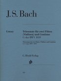 Triosonate für zwei Flöten und Continuo G-Dur BWV 1039