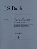 Triosonate und Canon perpetuus (aus dem Musikalischen Opfer) BWV 1079 Nr. 8 und 9, Flöte, Violine und Continuo