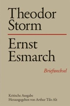 Cover Theodor Storm - Ernst Esmarch / Briefwechsel 7