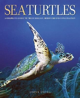 Sea Turtles Sea Turtles