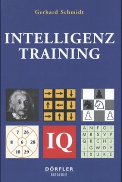 Intelligenztraining - Schmidt, Gerhard