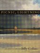 Picnic, Lightning - Bild 1