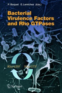 Bacterial Virulence Factors and Rho GTPases - Boquet, P. / Lemichez, Emmanuel (eds.)