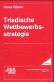 Triadische Wettbewerbsstrategien
