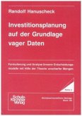 Investitionsplanung auf der Grundlage vager Daten