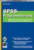 SPSS Programmierung