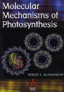 Molecular Mechanisms of Photosynthesis - Blankenship, Robert E.